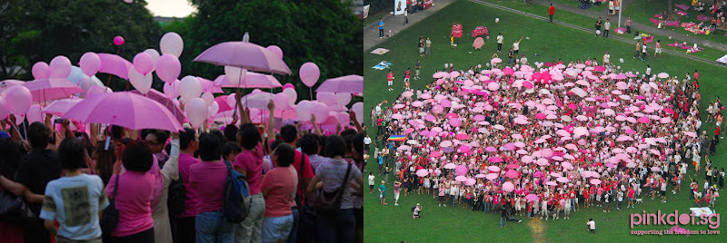 Figs 2 & 3: Left: Pink Dot, view from inside Hong Lim Park in 2009. Right: Pink Dot, overhead view of crowd formation in Hong Lim Park in 2009. Pink Dog SG