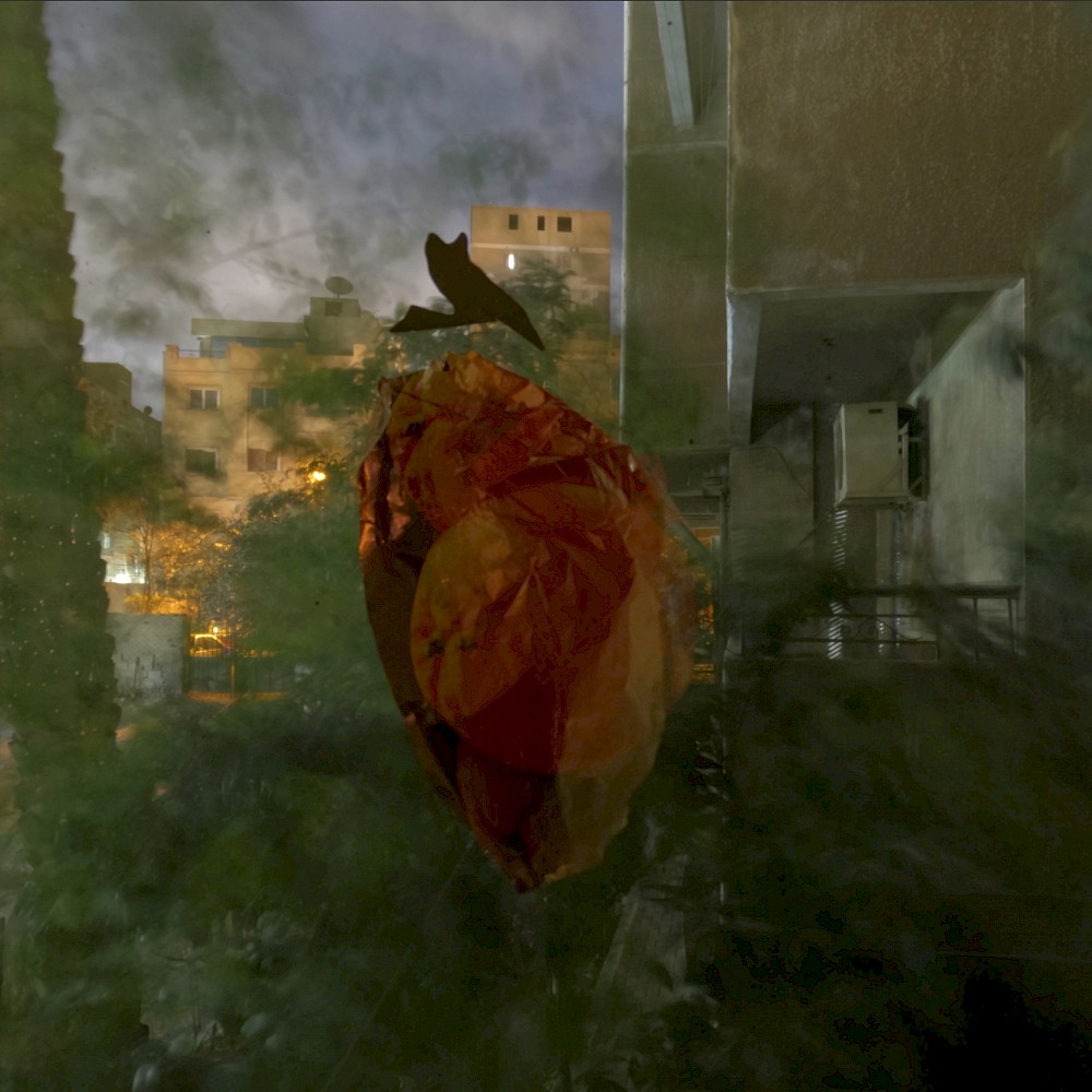 Künstler*ingespräch rana Phototriennale Hamburg